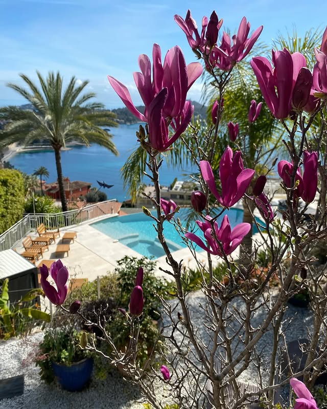 Aménagement paysager Villefranche-sur-Mer